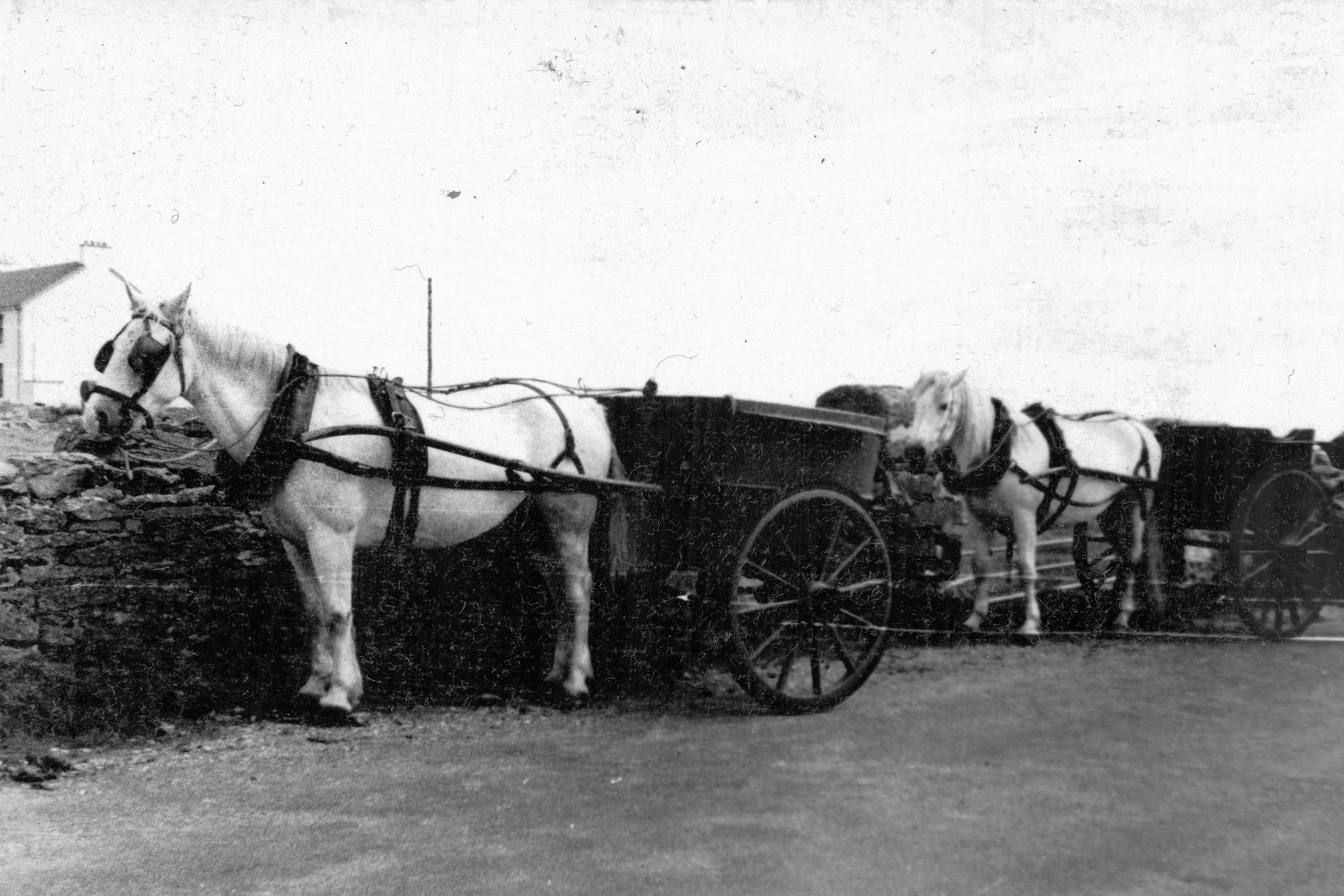 2 Pferdewagen