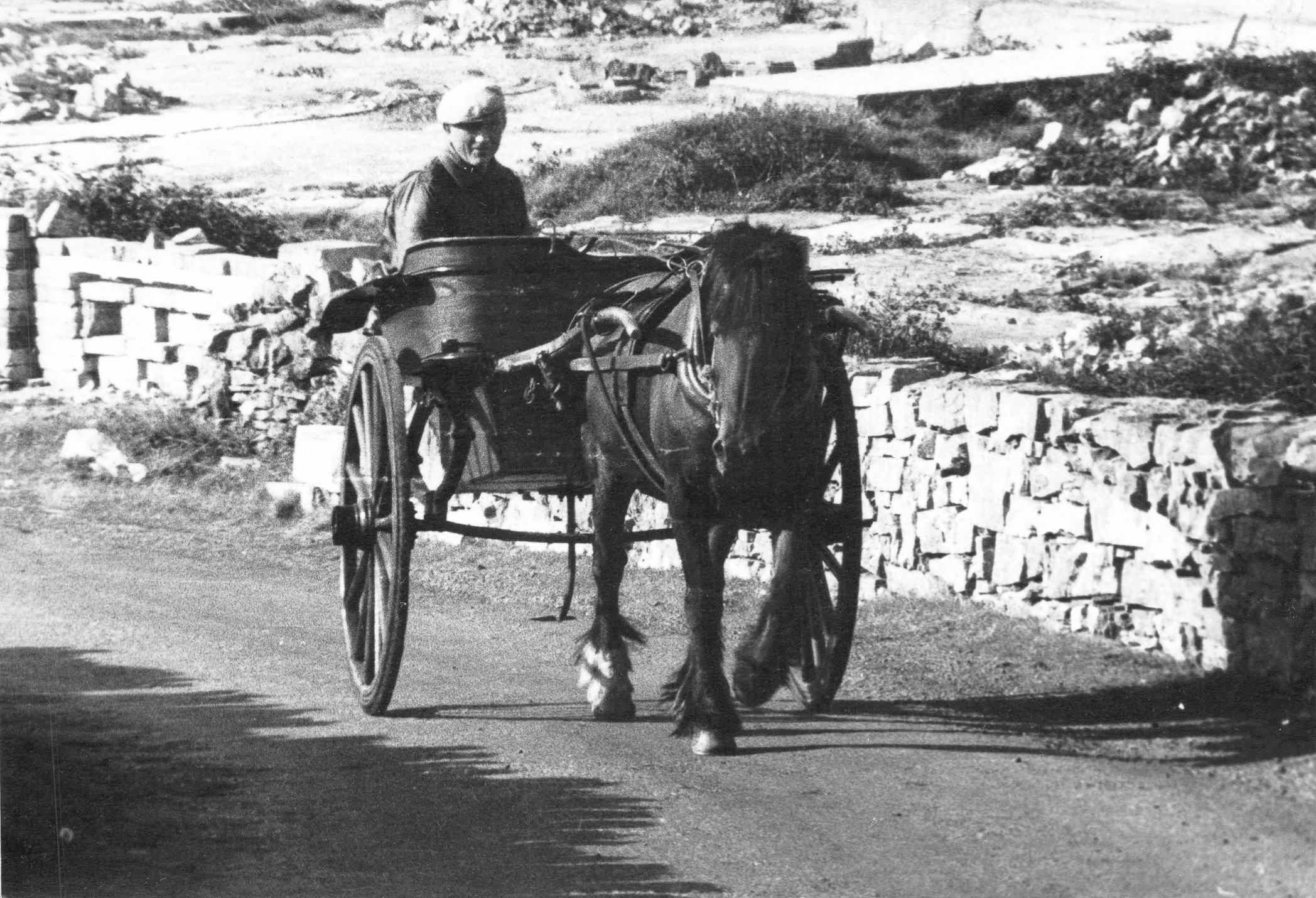 Pferdewagen von vorne
